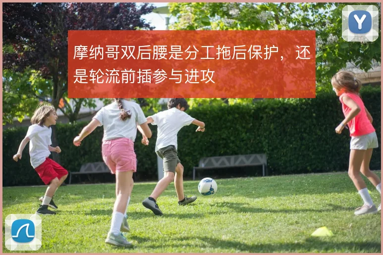 摩纳哥双后腰是分工拖后保护，还是轮流前插参与进攻
