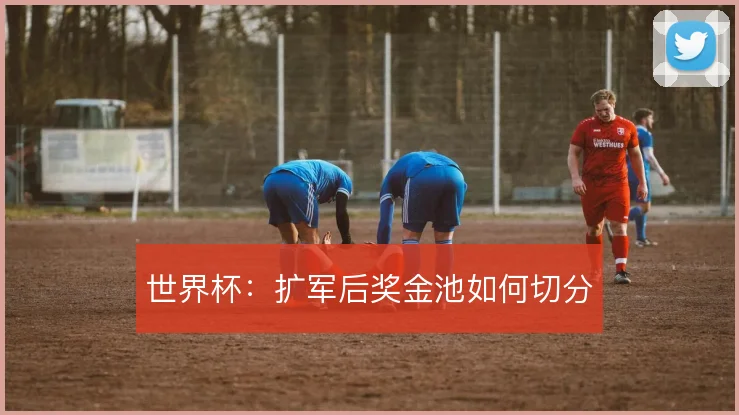 世界杯：扩军后奖金池如何切分