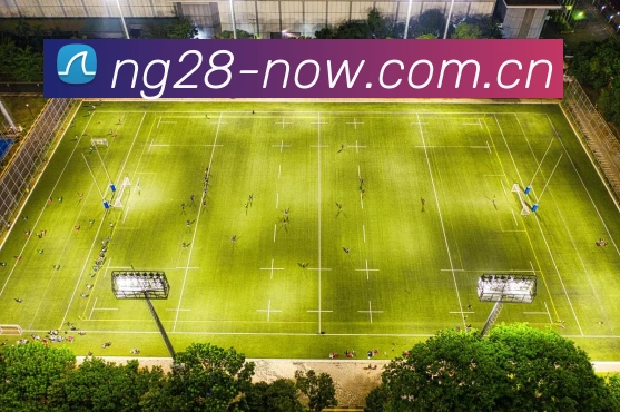 ng28平台生态图